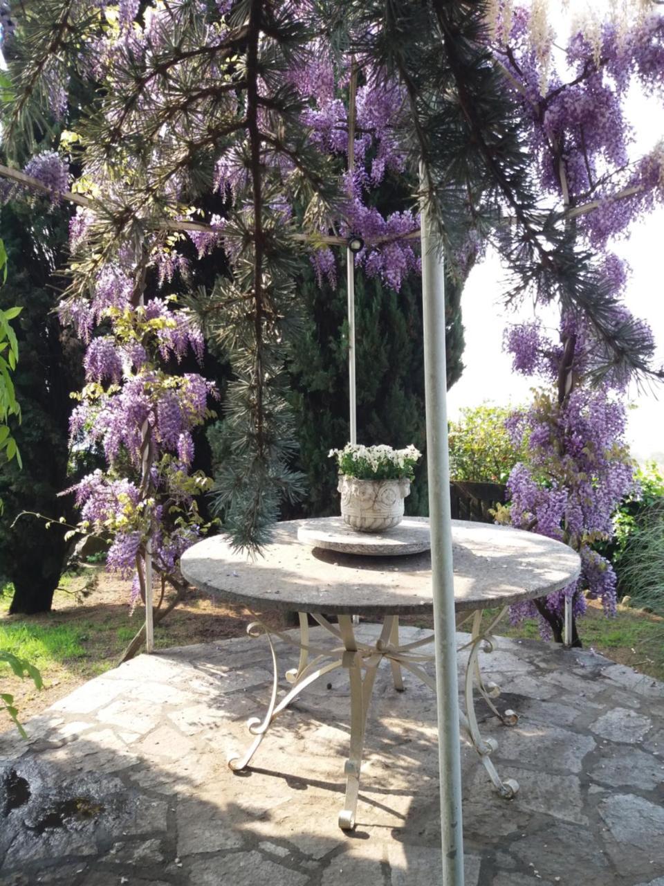 Novecento B&B Bollengo Экстерьер фото